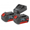 Starter Kit Μπαταρίες-Φορτιστής 20V 2x4.0Ah BORMANN PRO BBP9944 083221